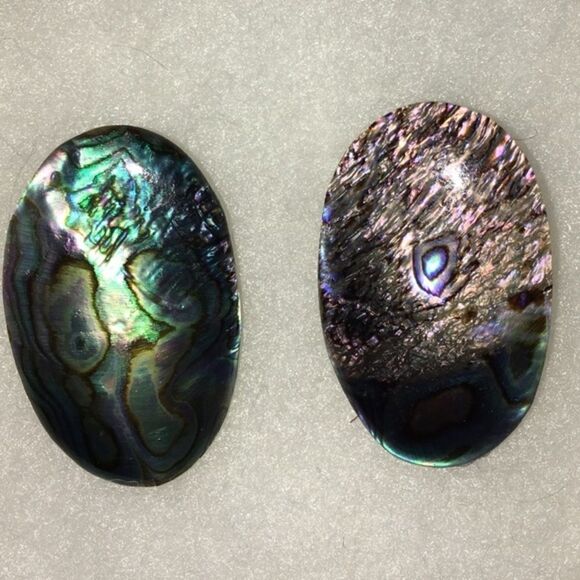 Authentic abalone shell oval earrings - Picture 1 of 2
